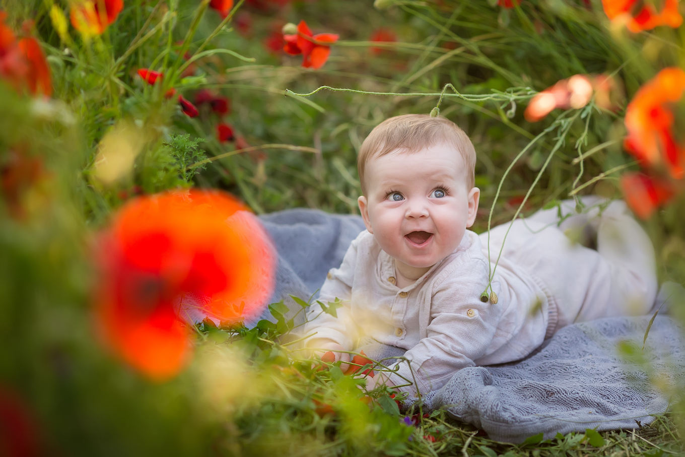 Baby girl in a poppy field