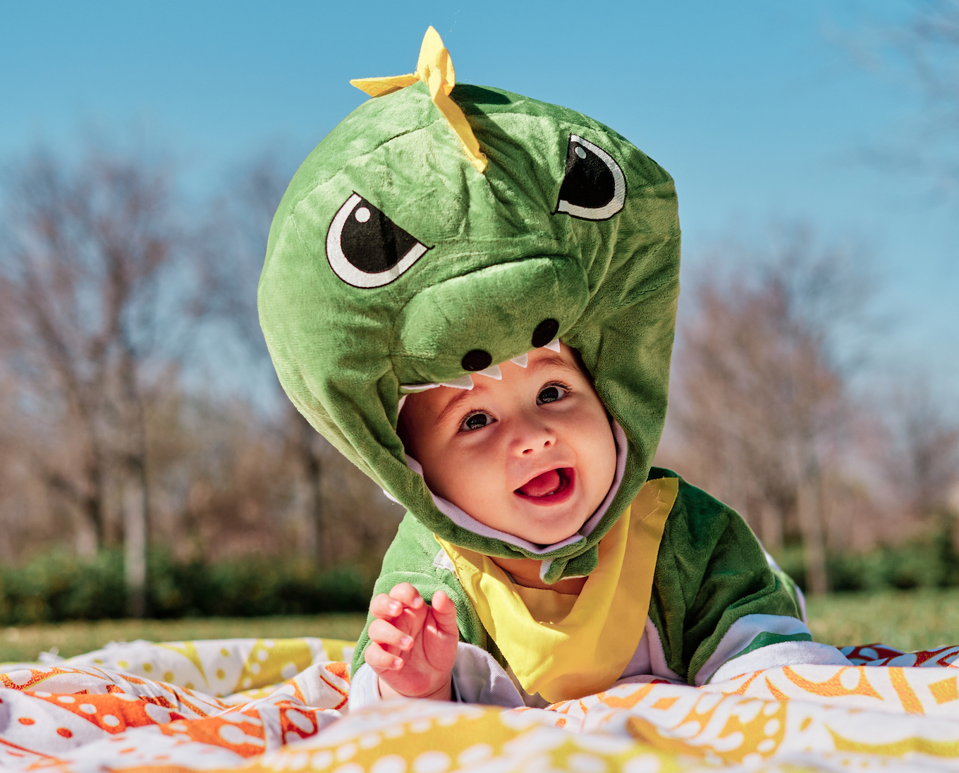 Baby in an animal costume